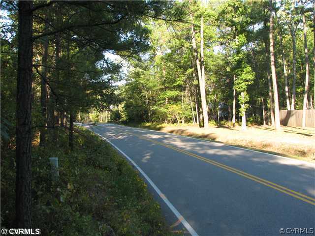 11200 Nash Road Chesterfield, VA 23838 - Photo 2 of 10 a view of a yard with large trees
