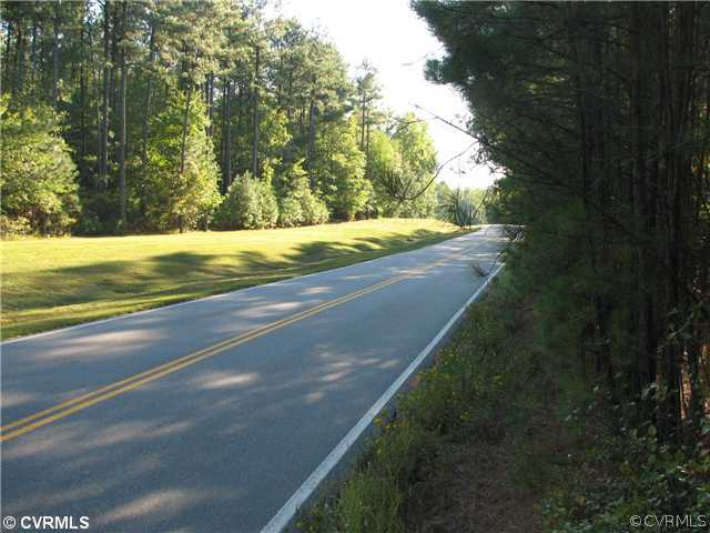 11200 Nash Road Chesterfield, VA 23838 - Photo 3 of 10 a view of yard with large trees