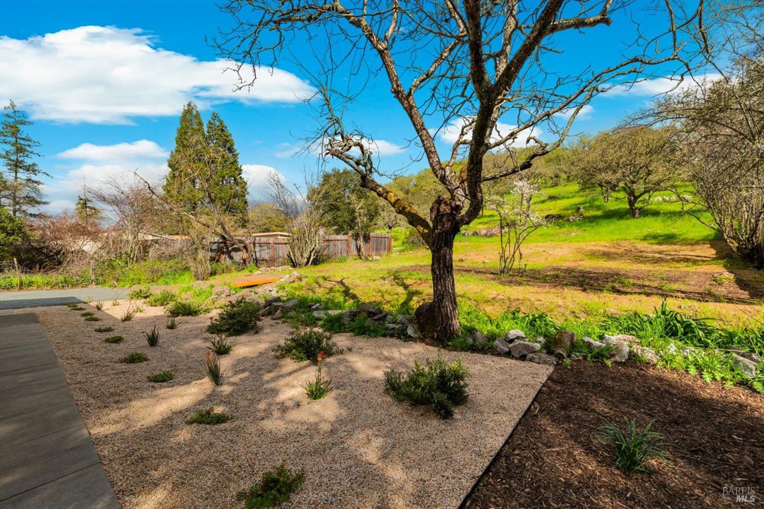 2192 First Avenue Napa, CA 94558 - Photo 54 of 81 a view of a yard with an trees