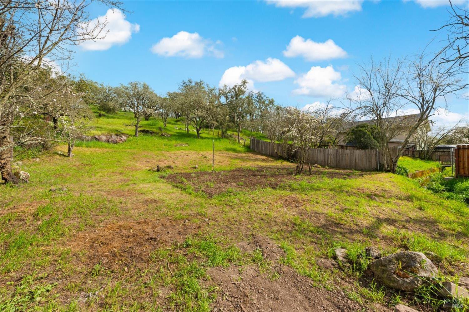 2192 First Avenue Napa, CA 94558 - Photo 67 of 81 a view of an outdoor space and yard