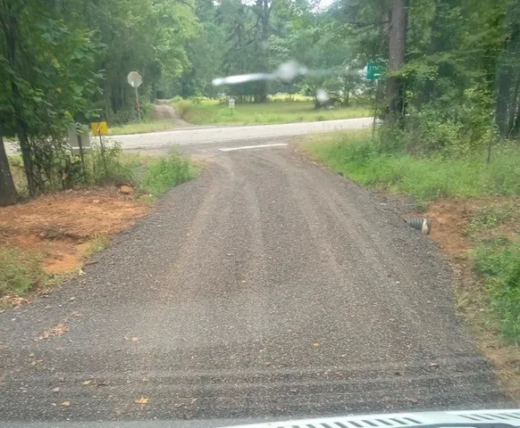 a view of a yard and mountain view