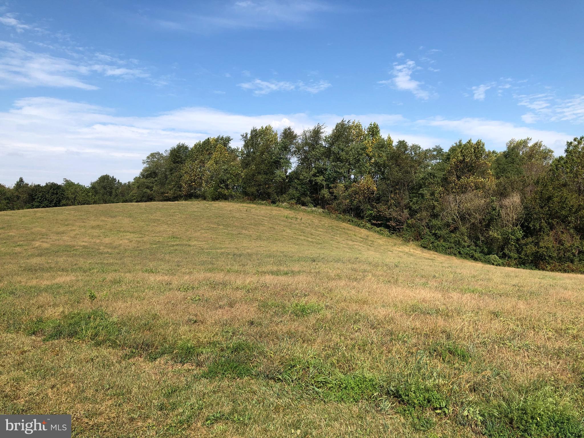 3701 Green Valley Road Union Bridge, MD 21791 - Photo 35 of 124
