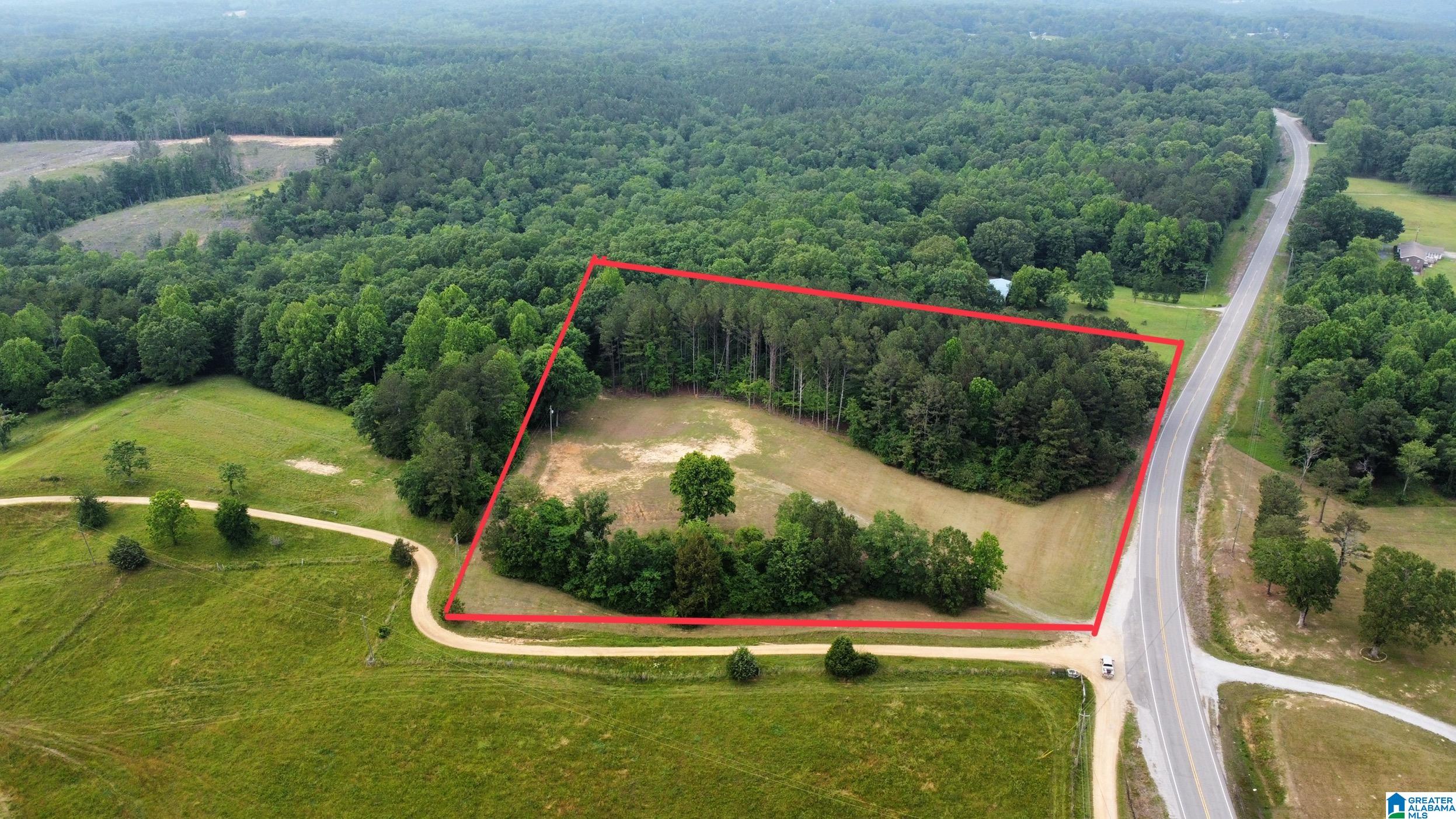 22909 Highway 195 Double Springs, AL 35553 - Photo 7 of 19
