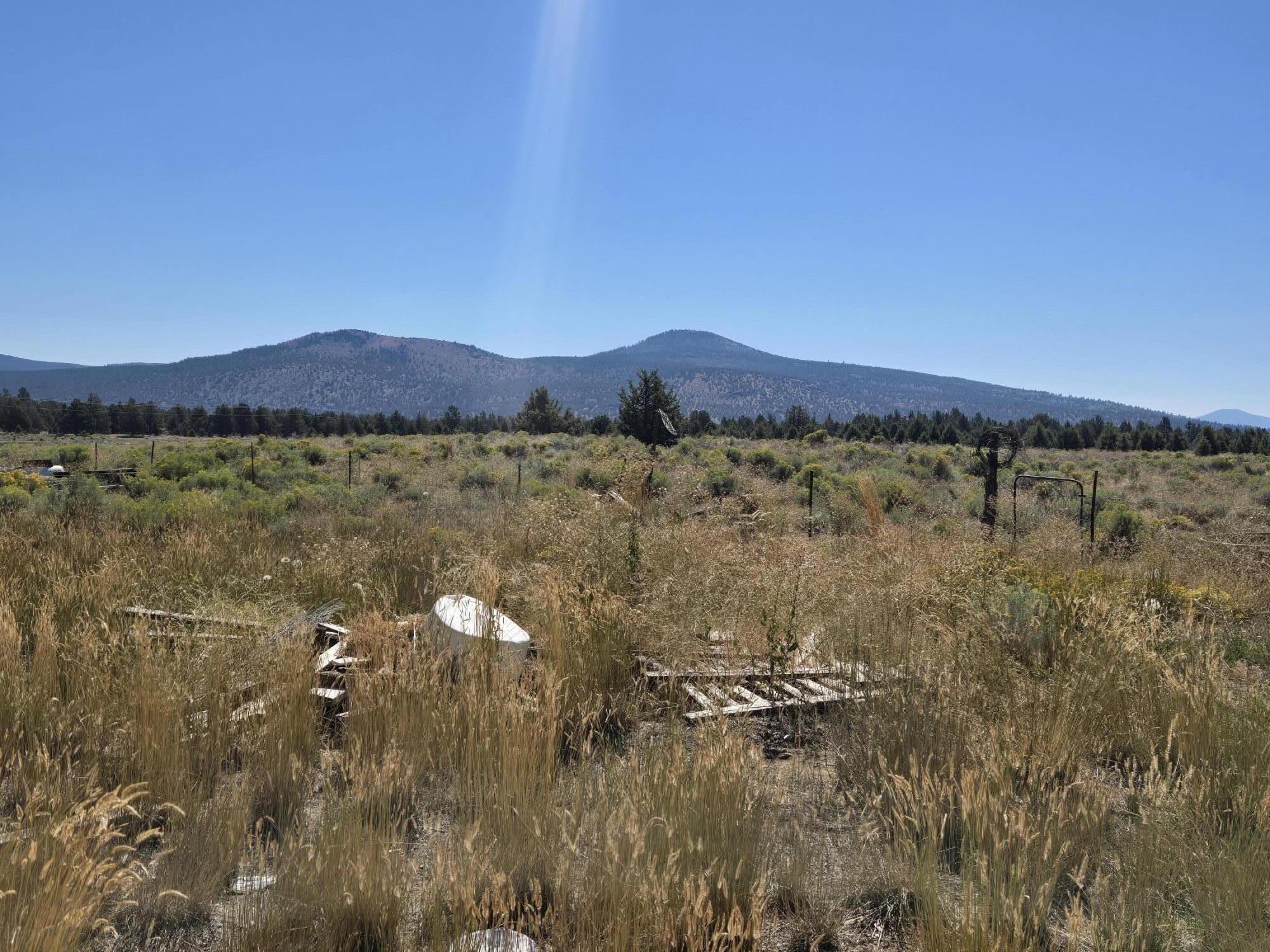 3138 Sheep Mountain Road Macdoel, CA 96058 - Photo 13 of 47 View
