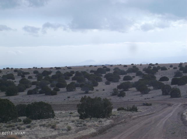 Lot 204 Lot Ranch St. Johns, AZ 85936 - Photo 1 of 7