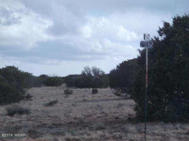 Lot 204 Lot Ranch St. Johns, AZ 85936 - Photo 2 of 7