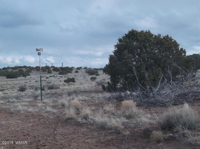Lot 204 Lot Ranch St. Johns, AZ 85936 - Photo 3 of 7