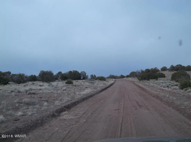 Lot 204 Lot Ranch St. Johns, AZ 85936 - Photo 4 of 7