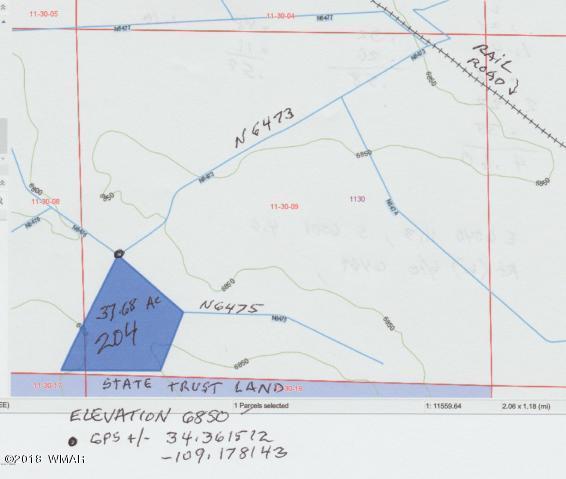 Lot 204 Lot Ranch St. Johns, AZ 85936 - Photo 5 of 7