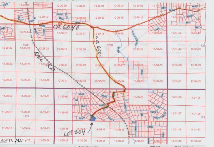 Lot 204 Lot Ranch St. Johns, AZ 85936 - Photo 6 of 7