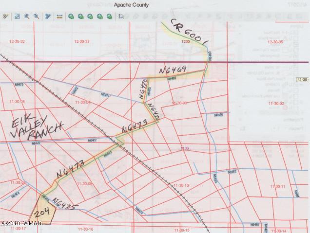 Lot 204 Lot Ranch St. Johns, AZ 85936 - Photo 7 of 7