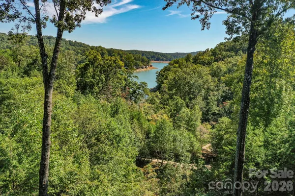 a view of a forest