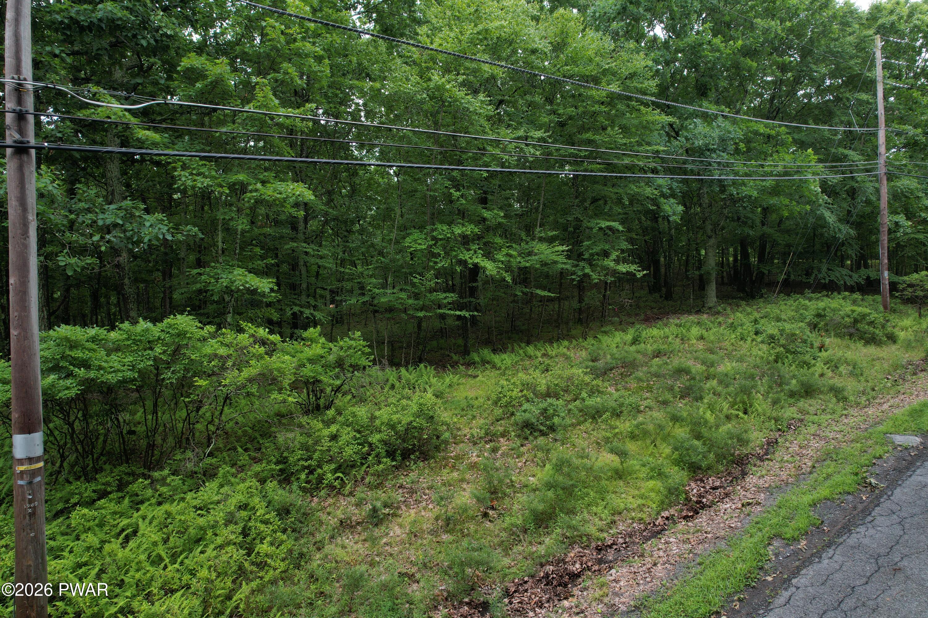 Tom Quick Road Dingmans Ferry, PA 18328 - Photo 9 of 14
