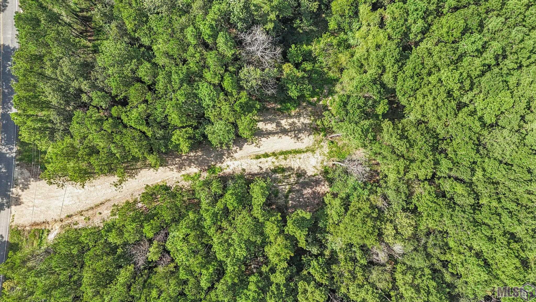 14383 Springfield Road Walker, LA 70785 - Photo 2 of 9