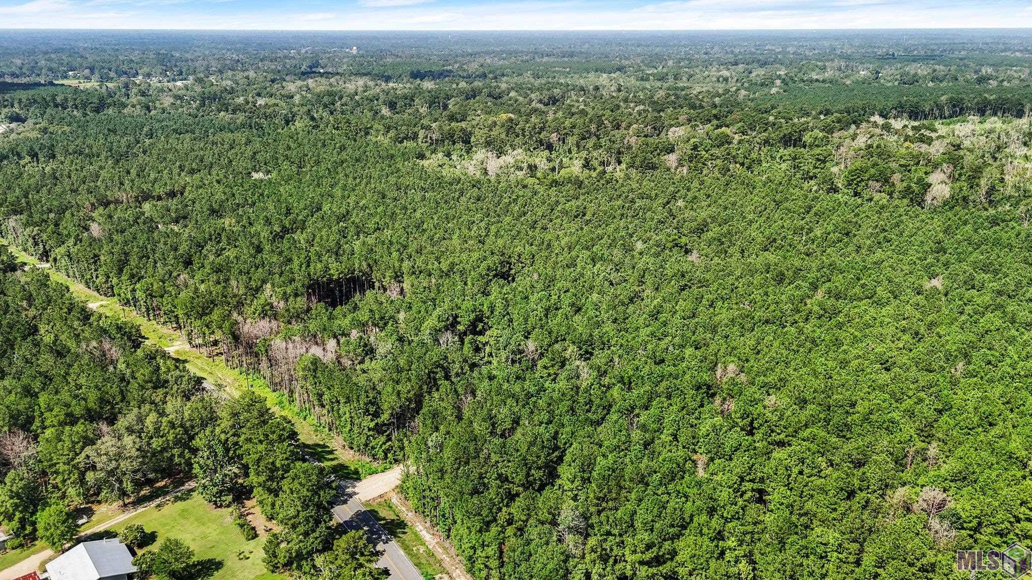 14383 Springfield Road Walker, LA 70785 - Photo 4 of 9