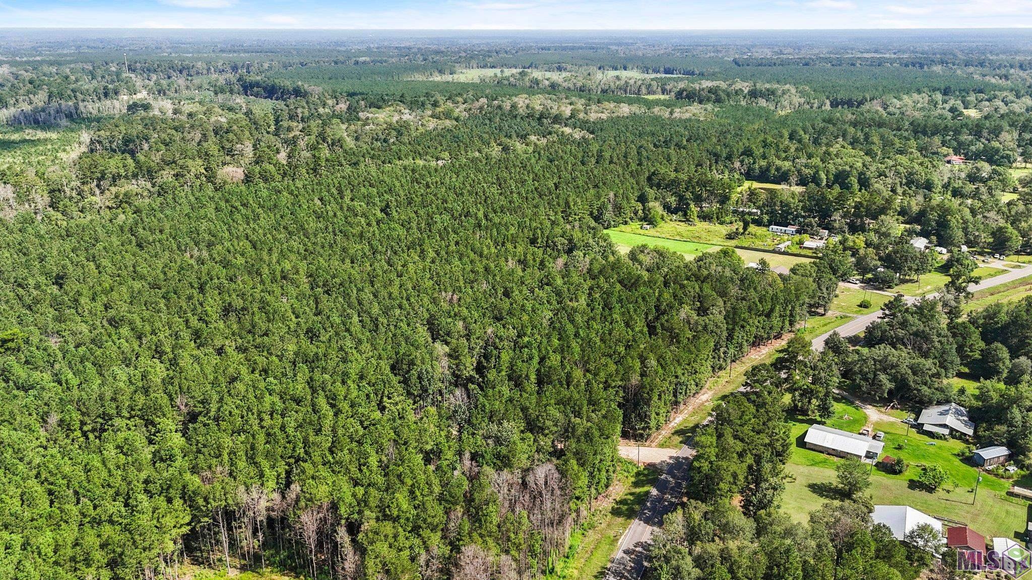 14383 Springfield Road Walker, LA 70785 - Photo 5 of 9