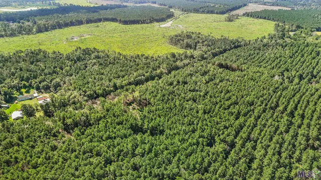 $89,000 | 14383 Springfield Road, Walker, LA 70785