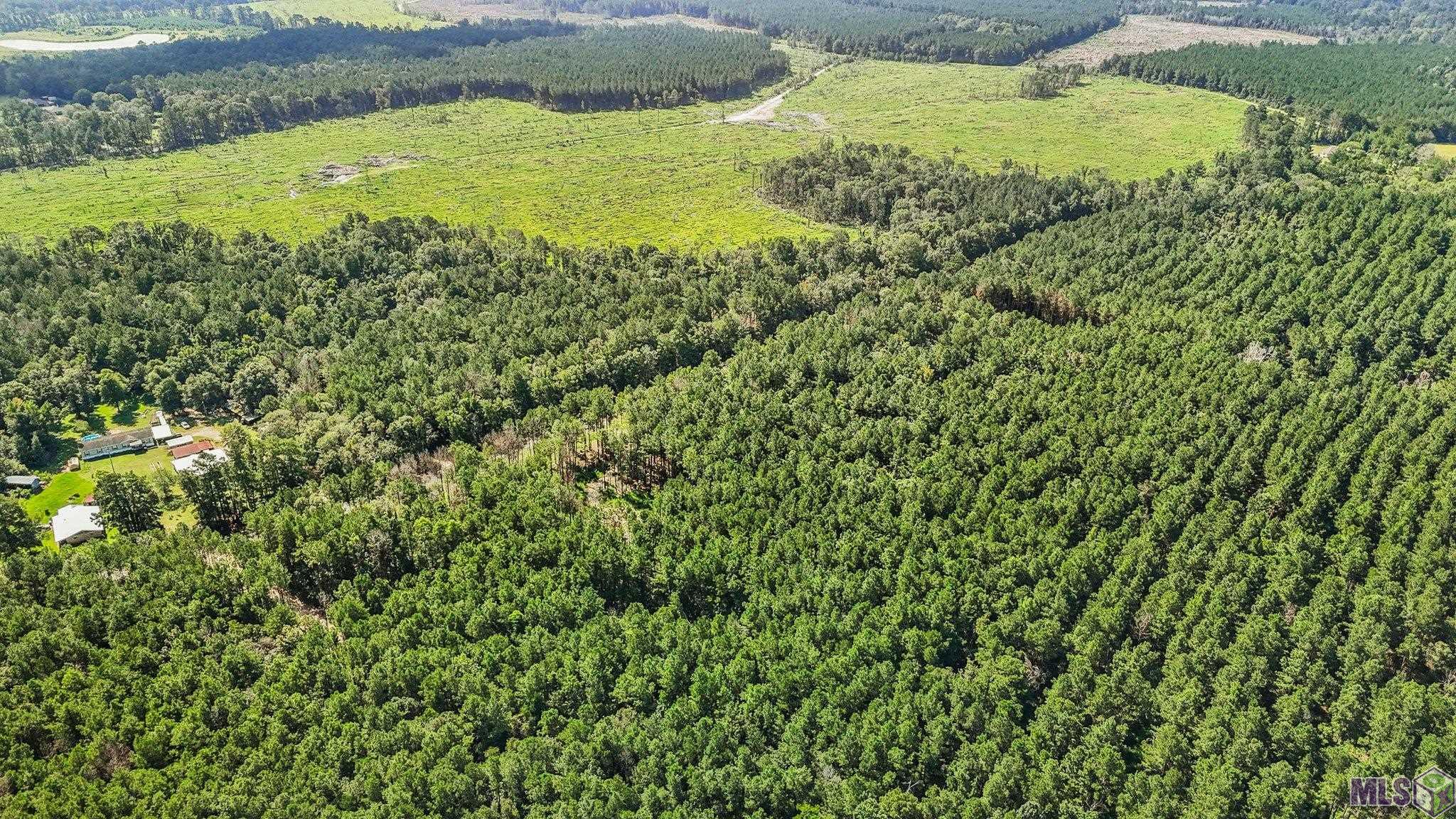 14383 Springfield Road Walker, LA 70785 - Photo 6 of 9