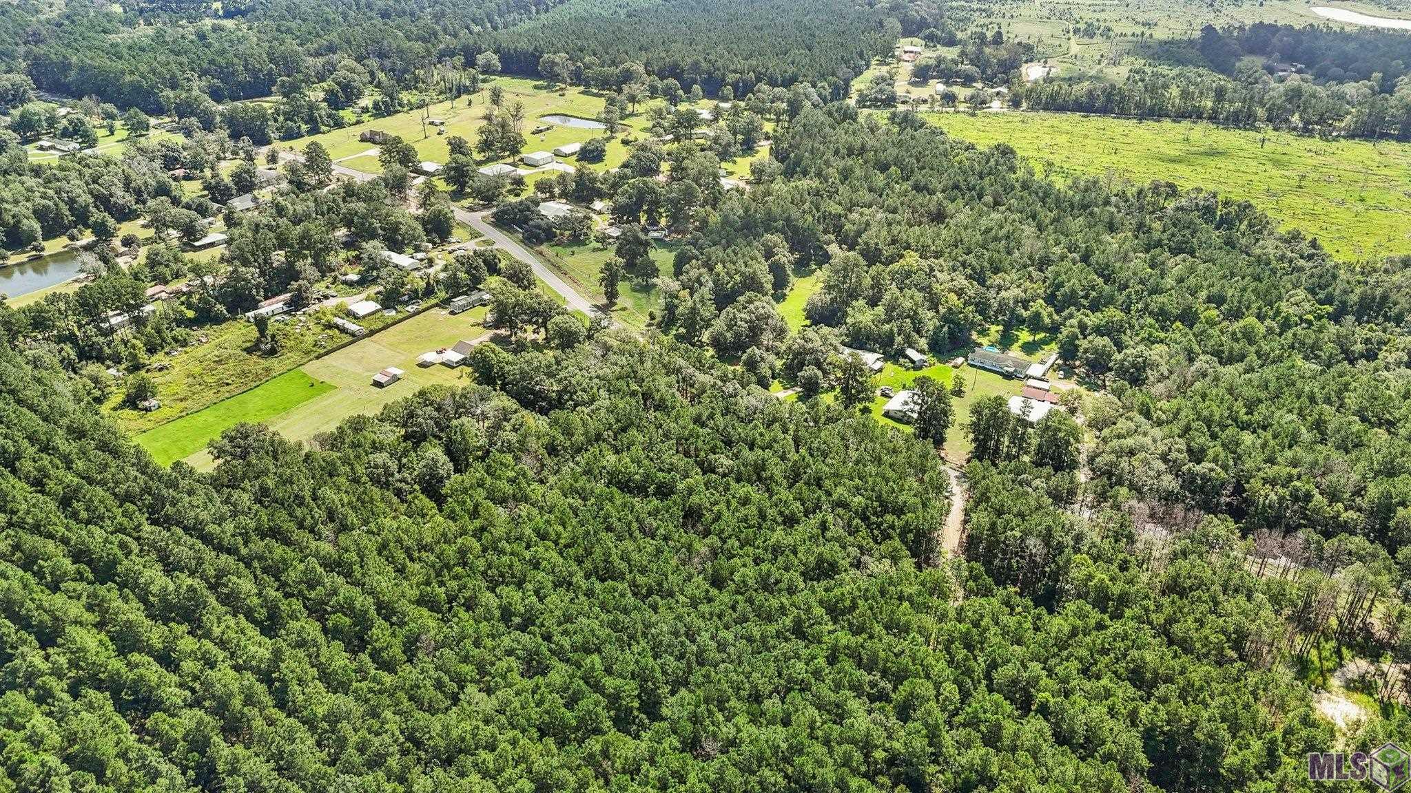 14383 Springfield Road Walker, LA 70785 - Photo 7 of 9