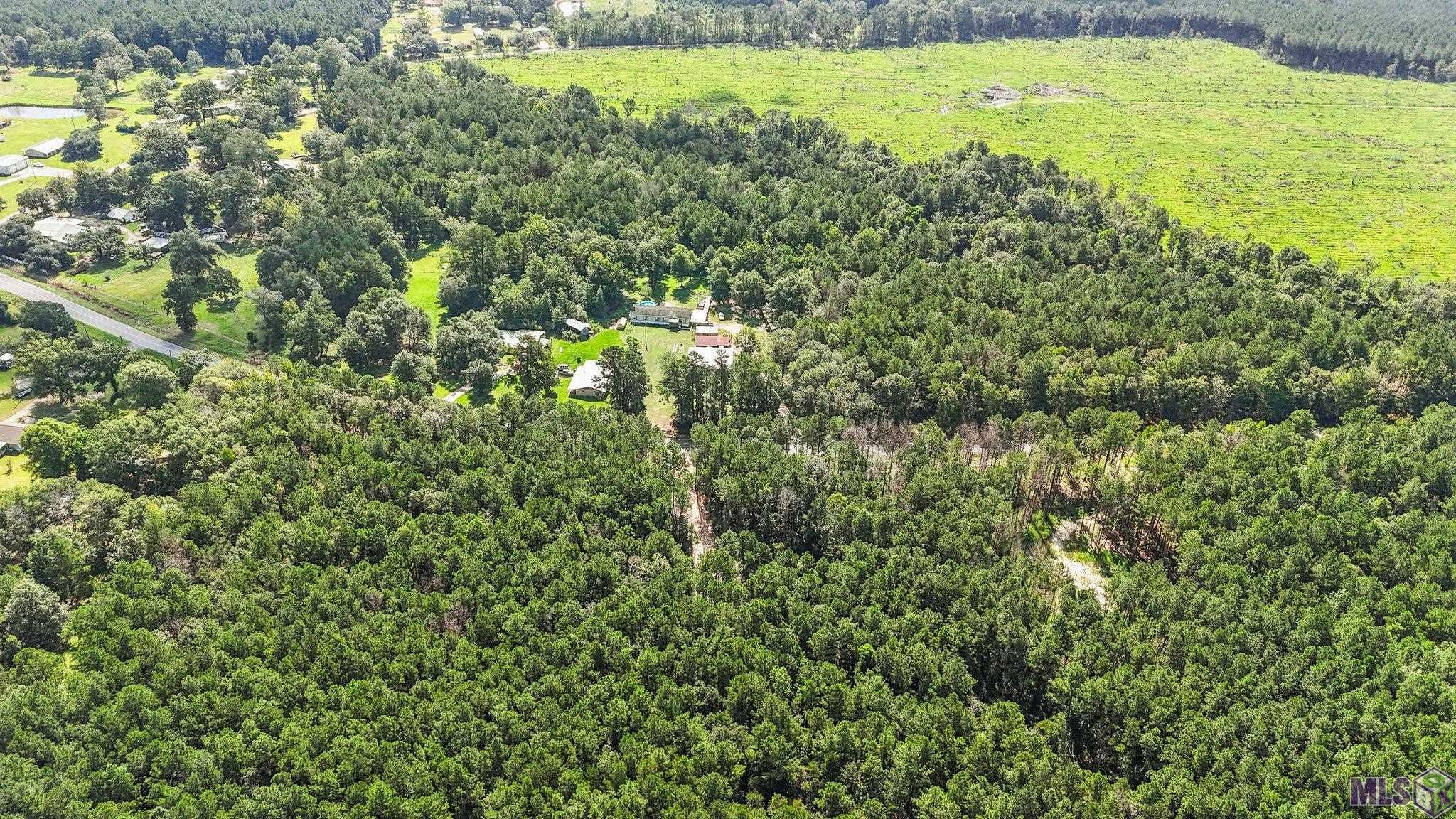 14383 Springfield Road Walker, LA 70785 - Photo 8 of 9