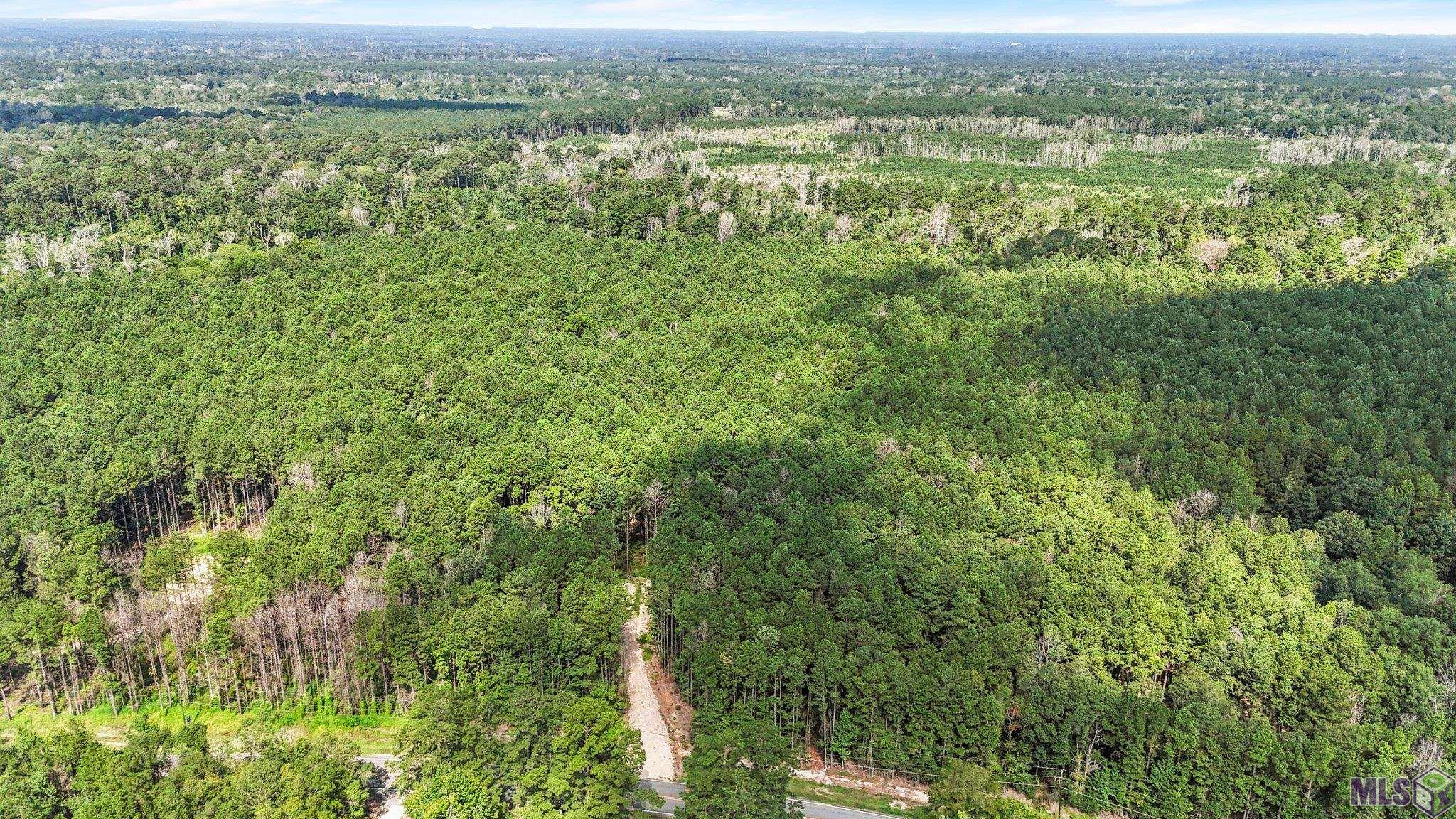 14383 Springfield Road Walker, LA 70785 - Photo 9 of 9