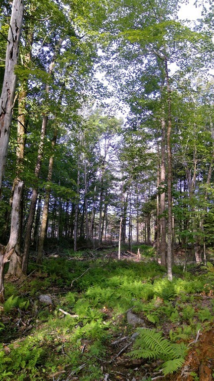 1 John Ford Road Ashfield, MA 01330 - Photo 8 of 10 Gallery Image 8