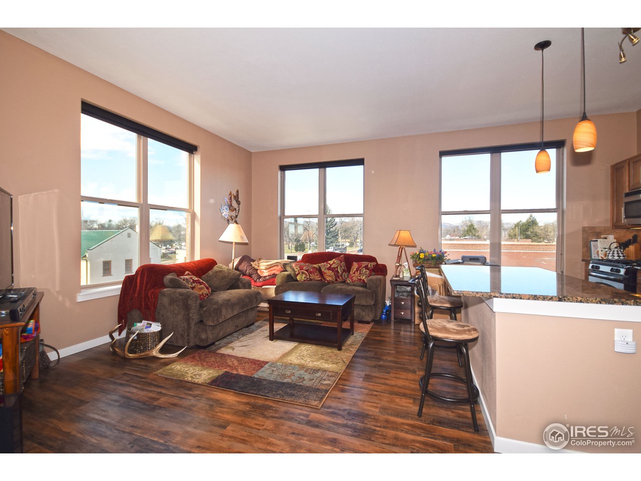 204 Maple Street, Unit 206 Fort Collins, CO 80521 - Photo 4 of 20 Gallery Image 4