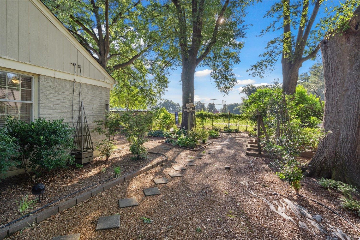 964 Ivy Road Memphis, TN 38117 - Photo 23 of 33 a view of a yard with plants and a large tree