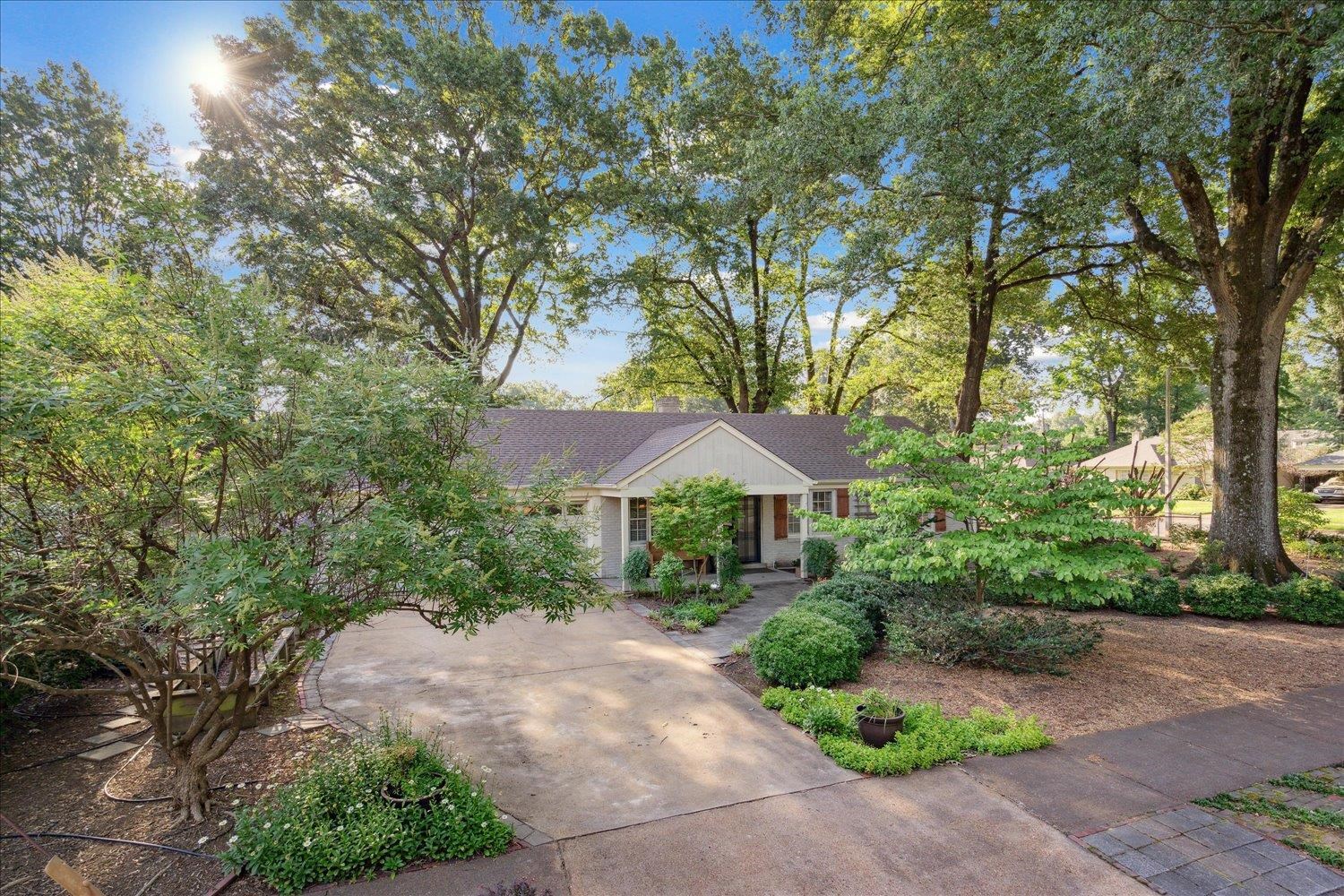964 Ivy Road Memphis, TN 38117 - Photo 3 of 33 a view of a garden with a patio