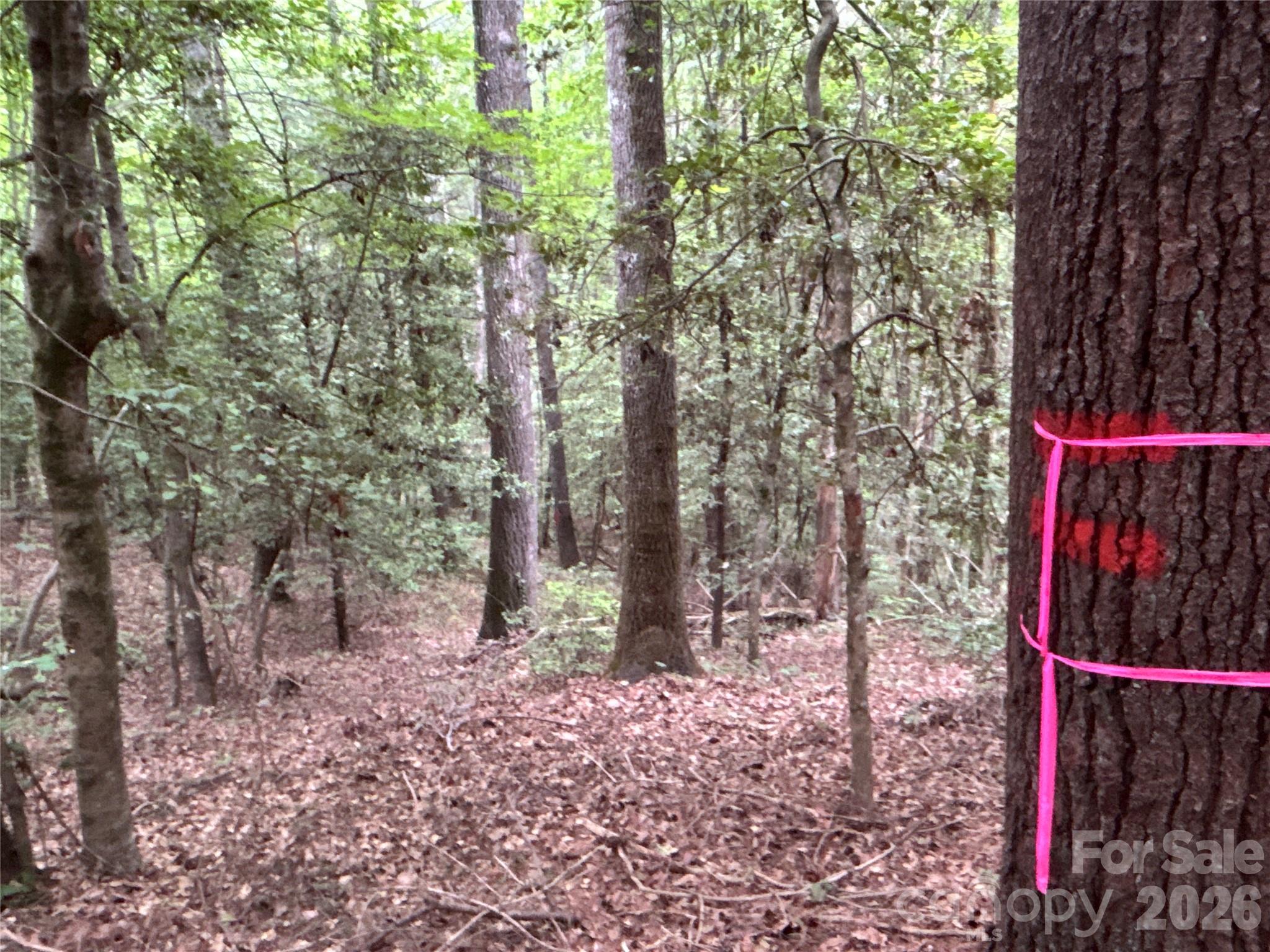 0 J J Thomas Road Morganton, NC 28655 - Photo 10 of 11