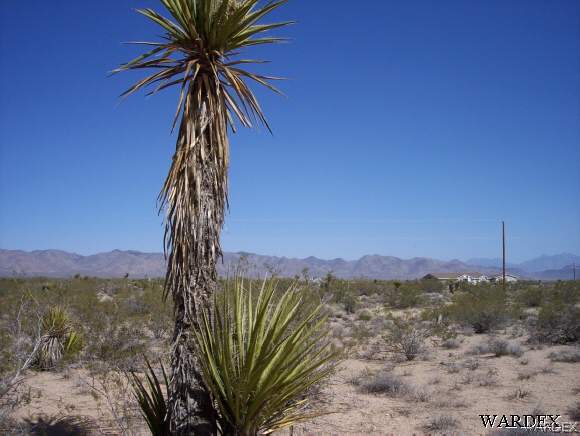 5810 Davis Road Golden Valley, AZ 86413 - Photo 1 of 6