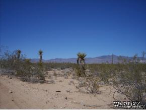 5810 Davis Road Golden Valley, AZ 86413 - Photo 4 of 6 a view of a dry yard