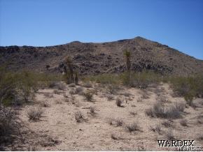 5810 Davis Road Golden Valley, AZ 86413 - Photo 5 of 6 a view of a dry field