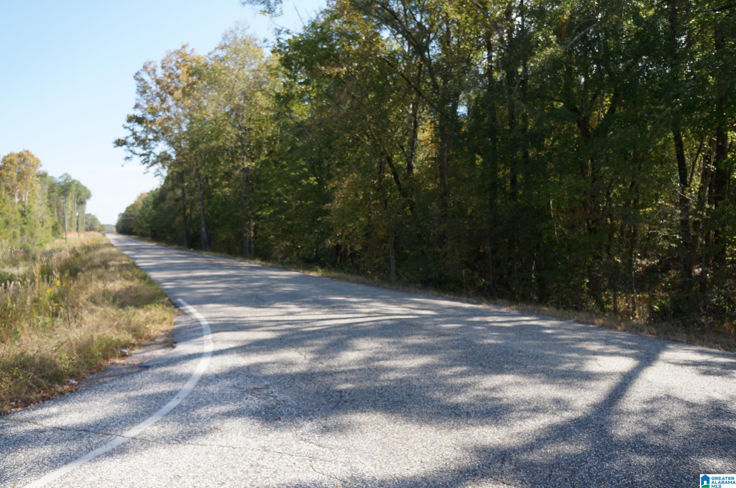 0 Old Fayetteville Road Sylacauga, AL 35151 - Photo 1 of 10