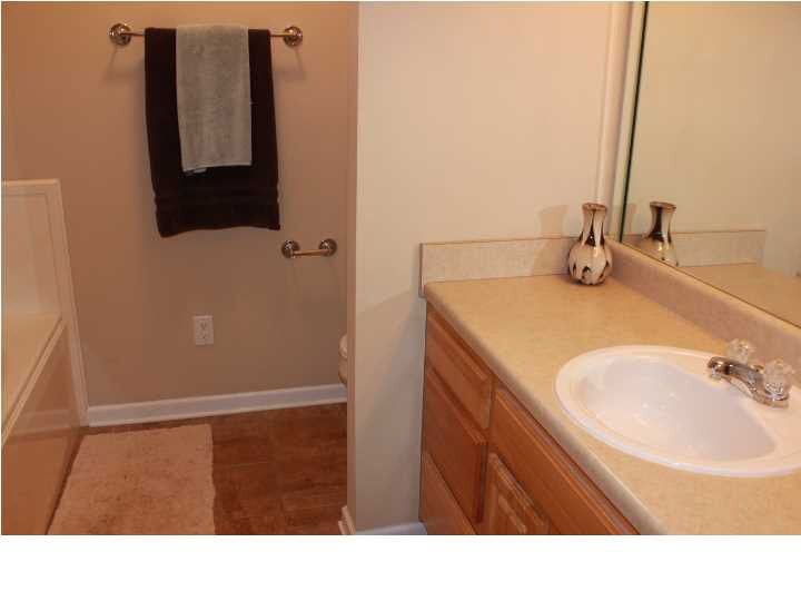 419 Timber Ridge Way Brandon, MS 39047 - Photo 30 of 50 Master Bath
