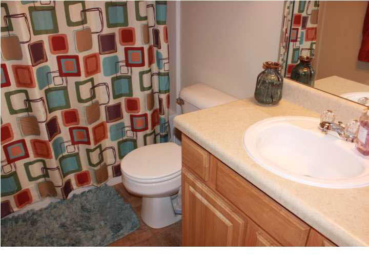 419 Timber Ridge Way Brandon, MS 39047 - Photo 37 of 50 3rd Bath