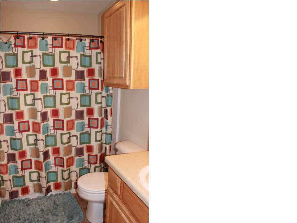 419 Timber Ridge Way Brandon, MS 39047 - Photo 38 of 50 3rd Bath