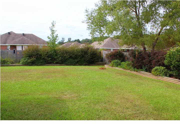 419 Timber Ridge Way Brandon, MS 39047 - Photo 46 of 50 Back View