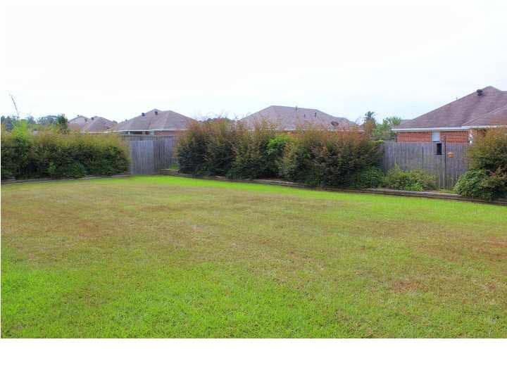 419 Timber Ridge Way Brandon, MS 39047 - Photo 47 of 50 Back View