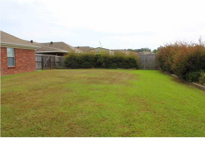 419 Timber Ridge Way Brandon, MS 39047 - Photo 48 of 50 Back View