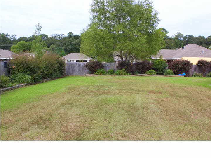 419 Timber Ridge Way Brandon, MS 39047 - Photo 50 of 50 Back View
