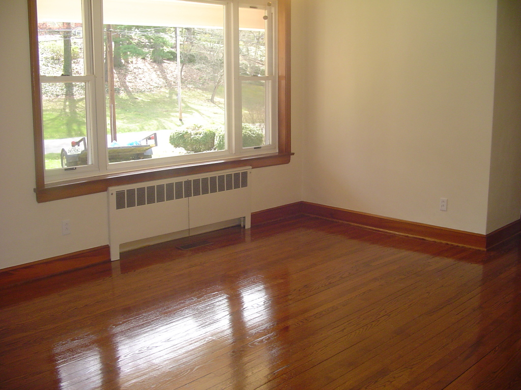 3521 Pinevale Road Roanoke, VA 24018 - Photo 4 of 27 Living Room