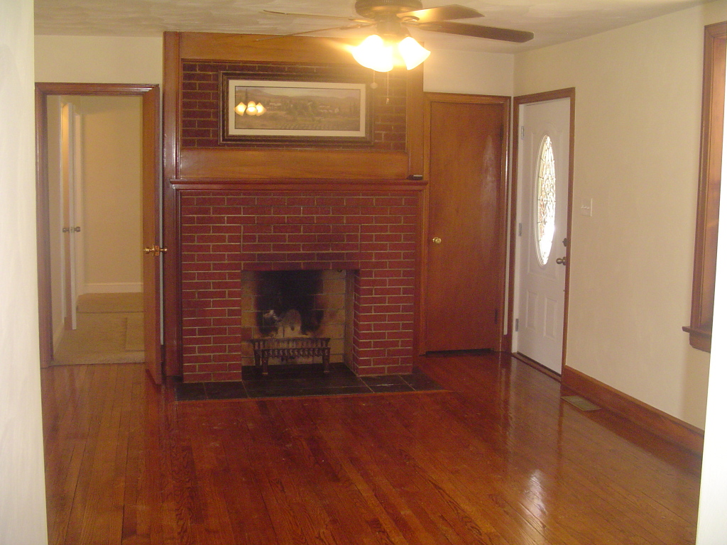 3521 Pinevale Road Roanoke, VA 24018 - Photo 5 of 27 Fireplace