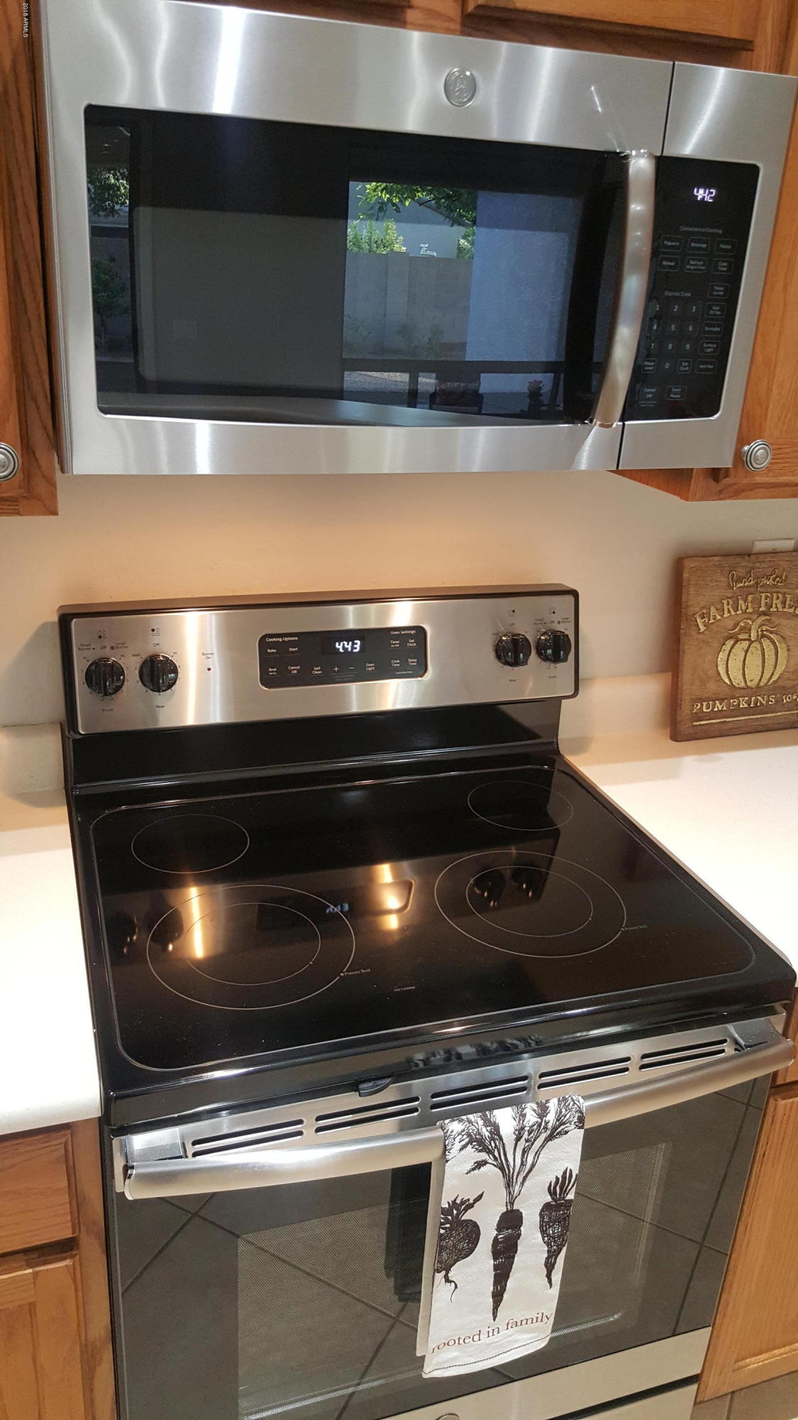 4340 South Ranger Trail Gilbert, AZ 85297 - Photo 9 of 123 Stainless Steel