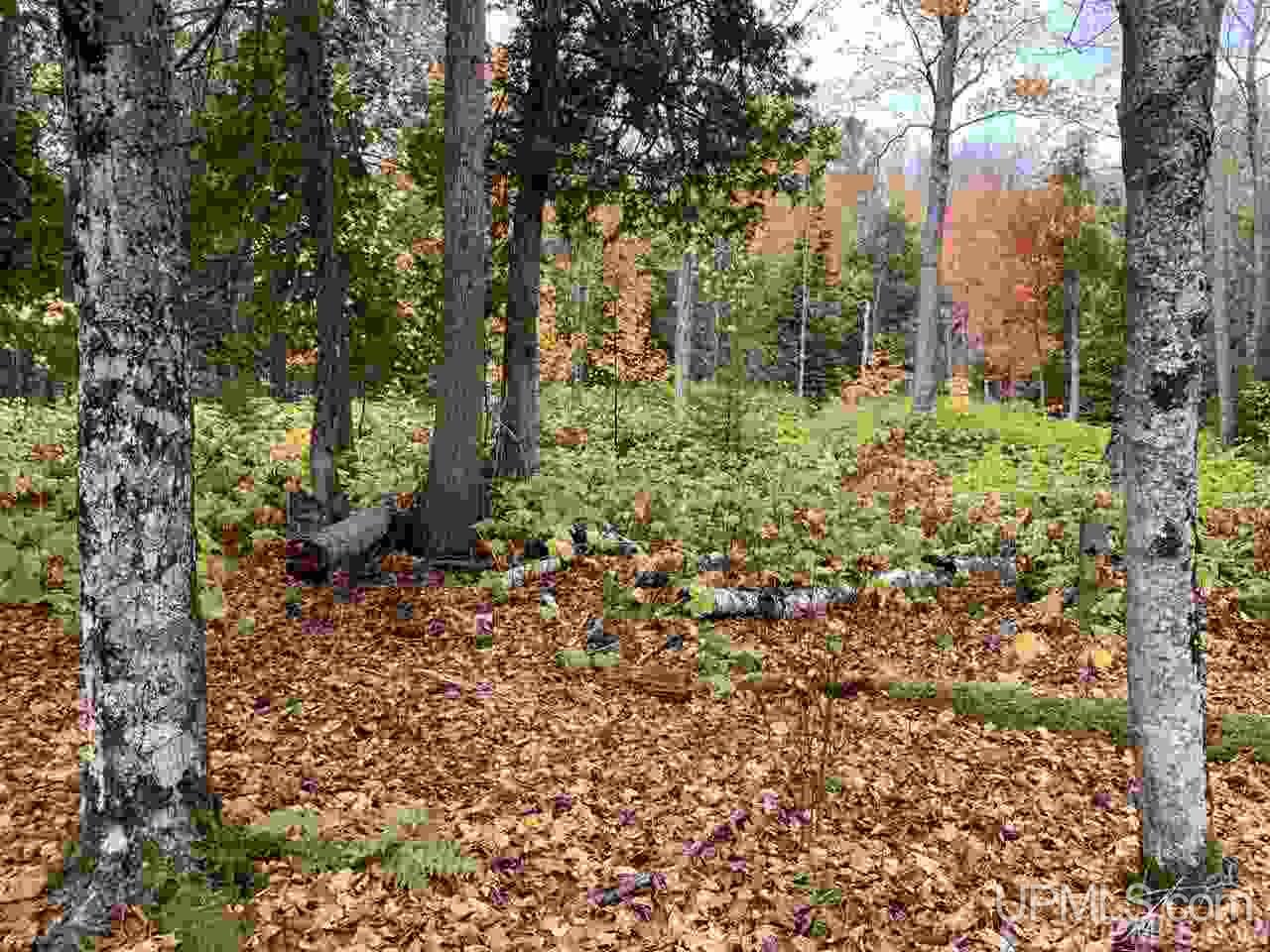 Lot 4 Liimatainen Road Lanse, MI 49946 - Photo 13 of 17 Gallery Image 13
