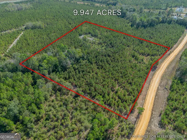 a view of a lush green field with a palm tree in the background