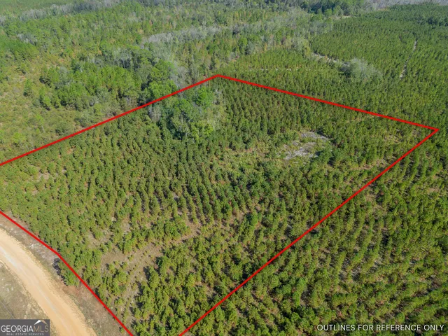 a view of a bunch of flowers