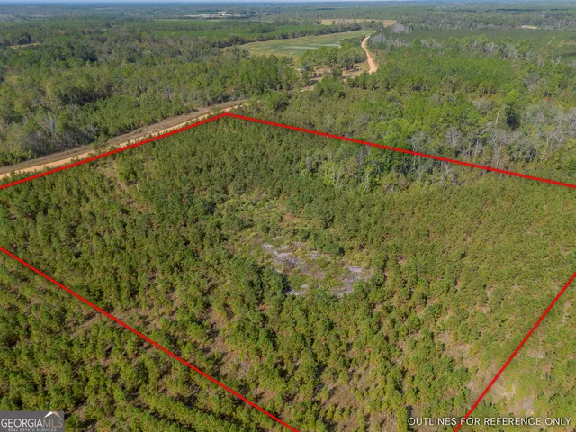 a view of a lush green field