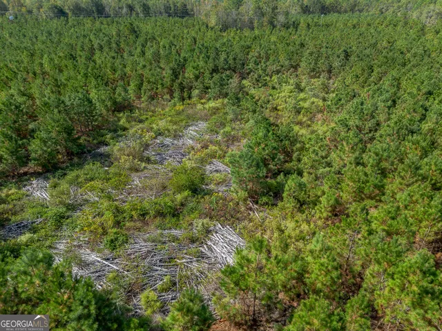 a view of a yard with plants and trees