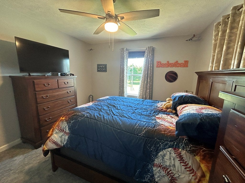 363 Ivanhoe Road Max Meadows, VA 24360 - Photo 20 of 50 Gallery Image 20